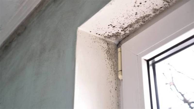 C2MP HUMIDITÉ - Éliminer les problèmes d'humidité dans votre chambre à coucher à Saint-Médard-en-Jalles près de Bordeaux